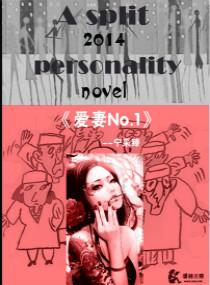 爱妻NO.1