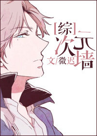 (综漫主网王同人)[综]次元墙